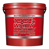 100% Whey Protein Professional