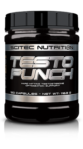 Testo Punch